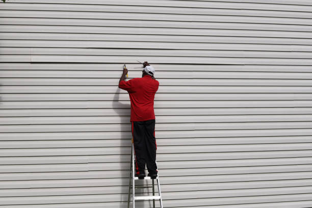 Best Steel Siding Installation  in Bal Harbour, FL