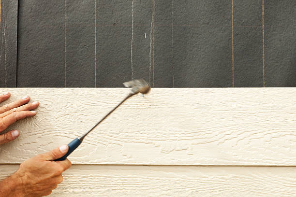 Best Historical Building Siding Restoration  in Bal Harbour, FL
